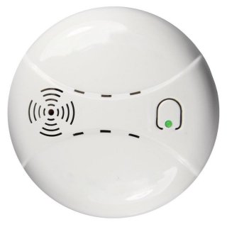 CO carbon monoxide detector